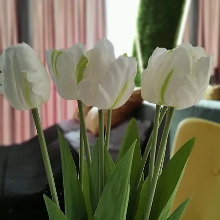 Hanza Tower - Scandia Apartment, 16 Floor, Sunset View Szczecin