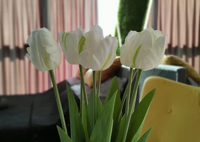 Hanza Tower - Scandia Apartment, 16 Floor, Sunset View Szczecin